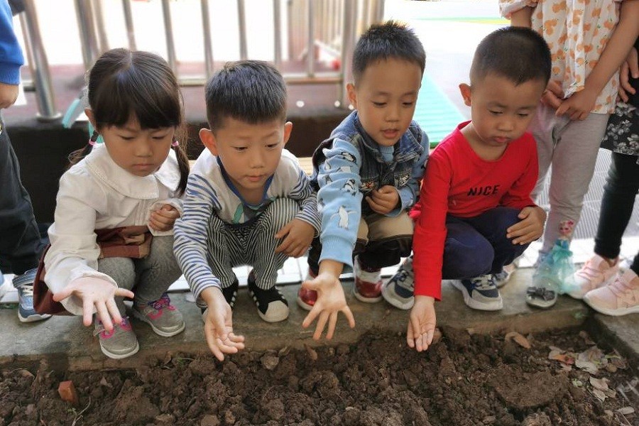 秋种一粒籽，静待冬来收--记团结桥分园“大带小”种植活动