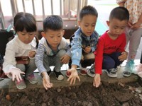 秋种一粒籽,静待冬来收--记团结桥分园“大带小”种植活动