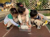 菇菇乐——城区幼儿园水香分园菌菇探索活动