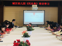 “典”亮生活 伴你我同行——城区幼儿园《民法典》培训学习活动