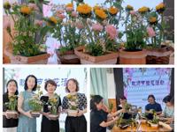 一路芬芳,邂逅最美的自己